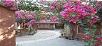 Hotel booking Shekhawati