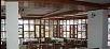 Hotel booking Naldehra