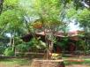 Hotel booking  Hans Adventure Holiday Resort