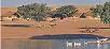 Hotel booking  Khimsar Sand Dunes Village