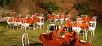 Hotel booking  The Aodhi, Kumbhalgarh