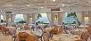 Hotel booking  Hotel Rajmandir 