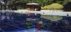 Hotel booking  Jaypee Palace Hotel 
