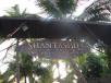 Hotel booking  Shantashil Resort