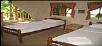 Kerala,Thattekkad,book Hornbill Camp