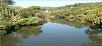 Karnataka,Coorg,book The Planters Camp
