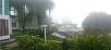 Himachal Pradesh,Kufri,book Galleu Hill Resort