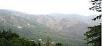 Himachal Pradesh,Kufri,book Hotel Wood Park
