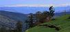 Himachal Pradesh,Sohja,book Banjara Retreat,Sohja