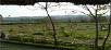 Uttarakhand,Corbett,book Camp Riverwild Resort