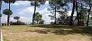 Uttarakhand,Almora,book Kasaar Jungle Resort