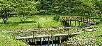 West Bengal,Gorumara,book Silver Ridge Resort