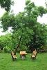 Maharashtra,Panvel,book The Ayurvedic Village