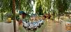Haryana,Manesar,book Best Western Resort Country Club