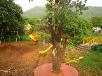 Hotel booking Maharashtra