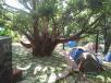 Hotel booking Maharashtra