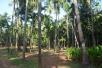 Hotel booking  Mody Villa