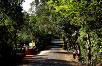Hotel booking  Whistling Woods