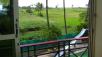Maharashtra,Vasai,book West Palm Beach Resort