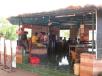 Maharashtra,Kolad,book Pooja Farm