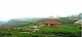 Explore Karnataka,Chickmagalur,book  Eagle Eye Holiday Home