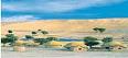 Explore Rajasthan,Khimsar,book  Khimsar Sand Dunes Village