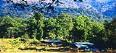 Explore Uttarakhand,Corbett,book  Camp Forktail Creek 