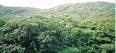 Explore Maharashtra,Dapoli / Harnai,book  Surali Jungles