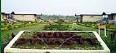 Explore West Bengal,Gorumara,book  Hotel Dynasty