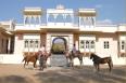 Explore Rajasthan,Ranakpur,book  Ranakpur Hill resort