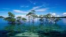 Explore Hotels & Hotel Booking in Port Blair