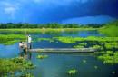 Explore Hotels & Hotel Booking in Jorhat
