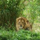 Explore Hotels & Hotel Booking in Khanvel