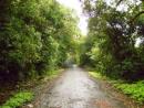 Explore Hotels & Hotel Booking in Amboli