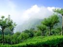 Explore Hotels & Hotel Booking in Coonoor