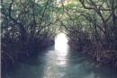 Explore Hotels & Hotel Booking in Baratang Island