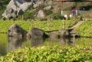 Explore Hotels & Hotel Booking in BrahmaputraJungle