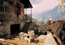 Explore Hotels & Hotel Booking in Mangan