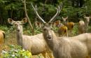 Explore Hotels & Hotel Booking in Dhanbad