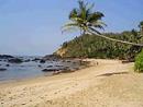 Explore Hotels & Hotel Booking in Arpora