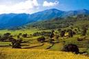 Explore Hotels & Hotel Booking in Araku Valley