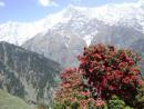 Explore Hotels & Hotel Booking in Dharamshala