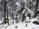 Exclusive Himachal Pradesh Tour Packages, Hotels in Himachal, 9 Nights Domestic Package Tour, India.