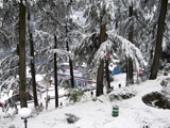 Domestic tour packages, hotel booking, Exclusive Himachal 09 nights 