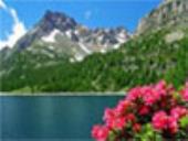 Domestic tour packages, hotel booking, Majestic Uttrakhand 